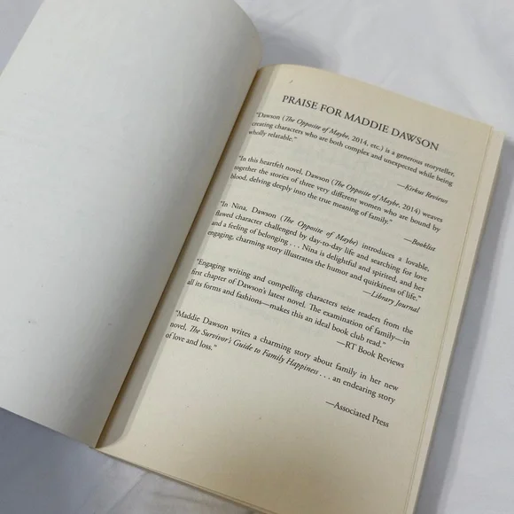 “Matchmaking for Beginners” Paperback Romance Novel by Maddie Dawson - Picture 9 of 11